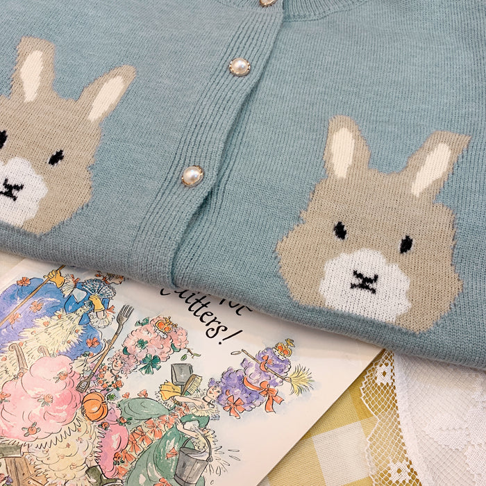 Cute rabbit sweater PL50230