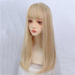 Blonde Long Straight Wig PL53226