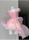 Pink Trailing Dress PL53355