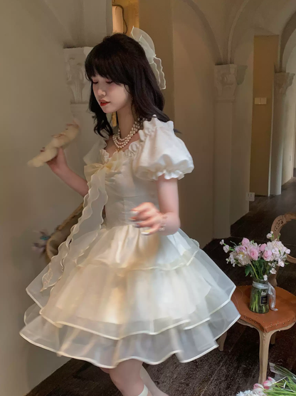 Girls' Tulle Skirt Tutu Dress PA20219