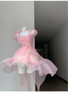 Pink Trailing Dress PL53355