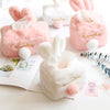 Cute Rabbit Ear Tissue Box PL52882