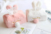 Cute Rabbit Ear Tissue Box PL52882