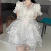 White Lace Organza Dress PL52972