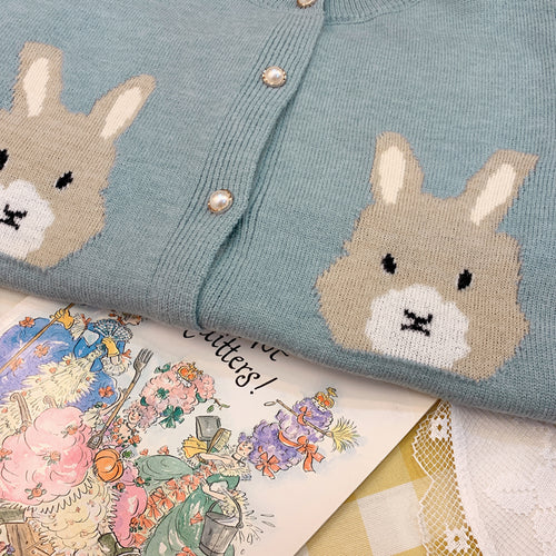 Cute rabbit sweater  PL50230