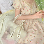 Lovely transparent pearl bag PL51731