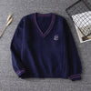 V-neck sweater PL50069