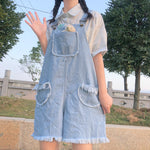 Ulzzang denim pants PL50486