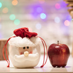 Christmas apple bag PL005