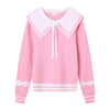 Cute wing sweater PL51975