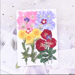 Dried flower stickers face jewelry PL50857