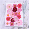 Dried flower stickers face jewelry PL50857